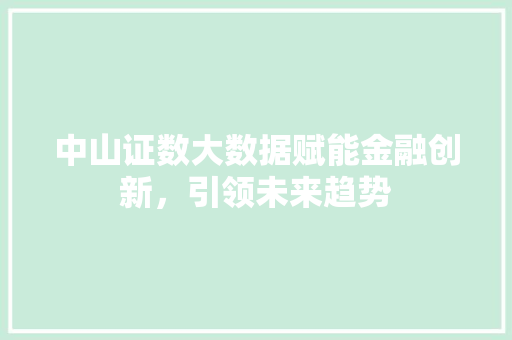 中山证数大数据赋能金融创新，引领未来趋势