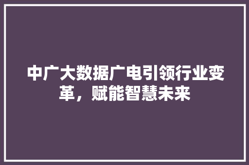 中广大数据广电引领行业变革,赋能智慧未来 中广大数据广电引领行业变革,赋能智慧未来