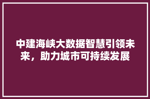 中建海峡大数据智慧引领未来，助力城市可持续发展