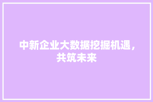 中新企业大数据挖掘机遇，共筑未来