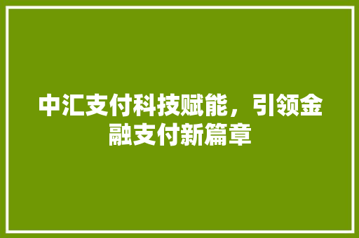 中汇支付科技赋能，引领金融支付新篇章