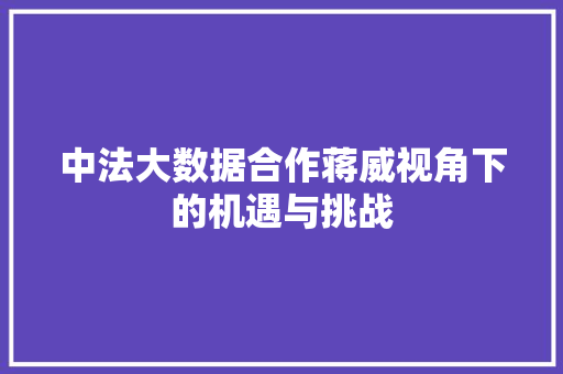 中法大数据合作蒋威视角下的机遇与挑战