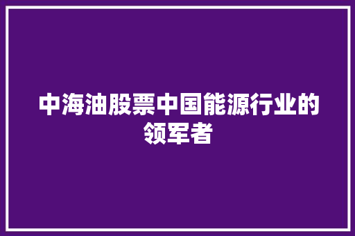 中海油股票中国能源行业的领军者