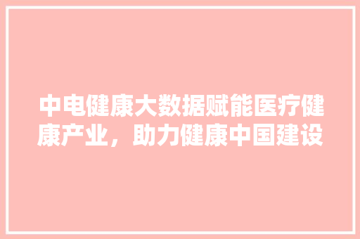 中电健康大数据赋能医疗健康产业，助力健康中国建设