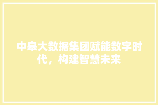中皋大数据集团赋能数字时代，构建智慧未来