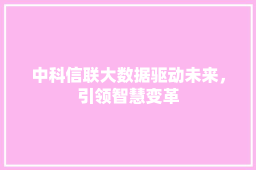 中科信联大数据驱动未来，引领智慧变革