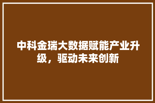 中科金瑞大数据赋能产业升级，驱动未来创新