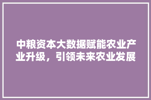 中粮资本大数据赋能农业产业升级，引领未来农业发展新趋势