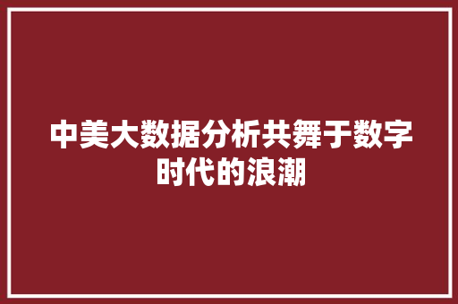 中美大数据分析共舞于数字时代的浪潮