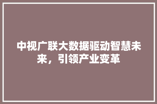 中视广联大数据驱动智慧未来，引领产业变革