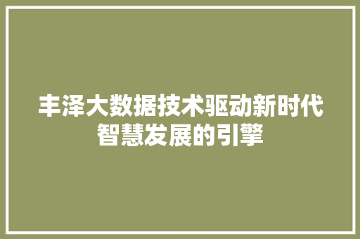 丰泽大数据技术驱动新时代智慧发展的引擎