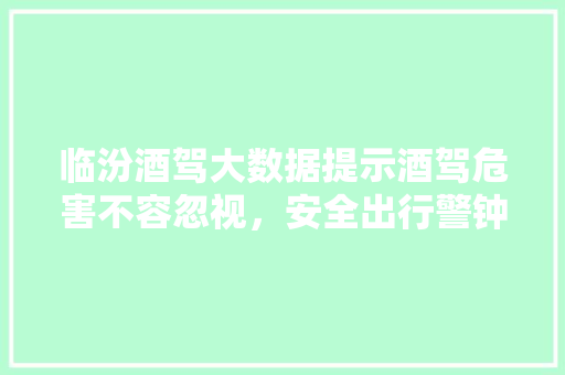临汾酒驾大数据提示酒驾危害不容忽视，安全出行警钟长鸣
