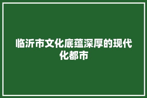 临沂市文化底蕴深厚的现代化都市
