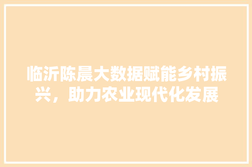 临沂陈晨大数据赋能乡村振兴，助力农业现代化发展