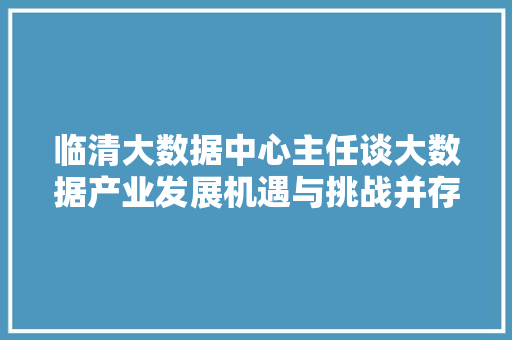 临清大数据中心主任谈大数据产业发展机遇与挑战并存