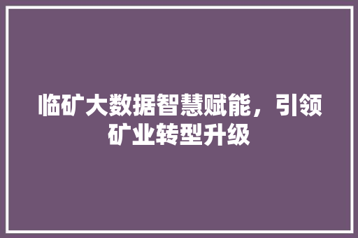 临矿大数据智慧赋能，引领矿业转型升级