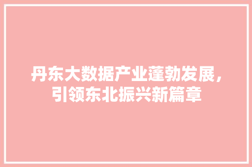 丹东大数据产业蓬勃发展，引领东北振兴新篇章