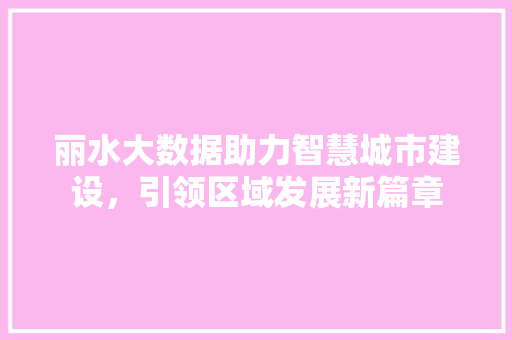 丽水大数据助力智慧城市建设，引领区域发展新篇章