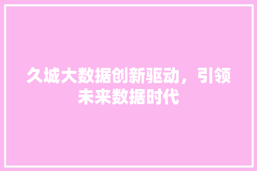久城大数据创新驱动，引领未来数据时代