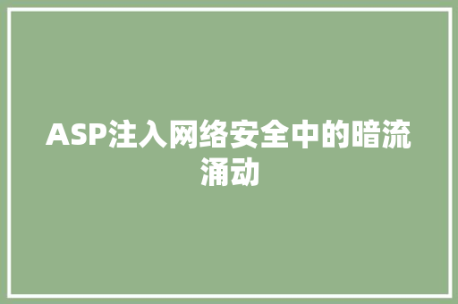 ASP注入网络安全中的暗流涌动