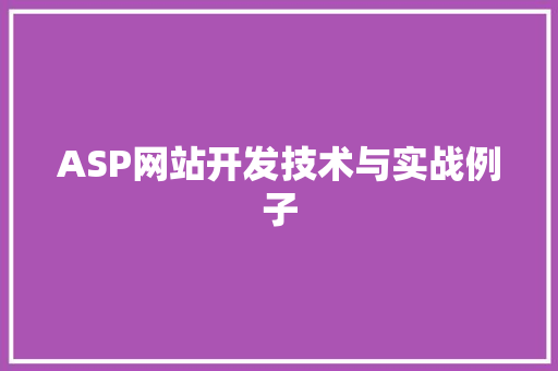 ASP网站开发技术与实战例子