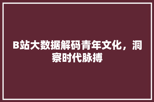 B站大数据解码青年文化,洞察时代脉搏 电脑基础 B站大数据解码青年文化,洞察时代脉搏 电脑基础