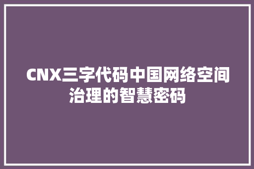 CNX三字代码中国网络空间治理的智慧密码