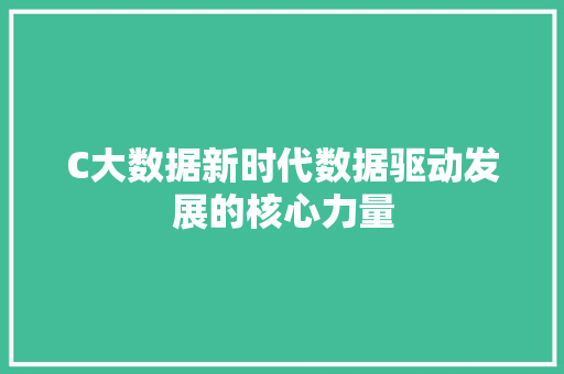 C大数据新时代数据驱动发展的核心力量