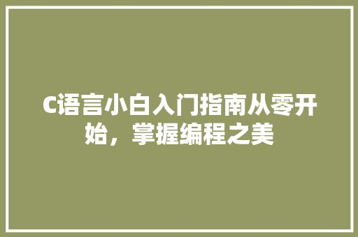 C语言小白入门指南从零开始，掌握编程之美