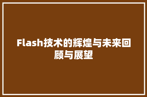 Flash技术的辉煌与未来回顾与展望