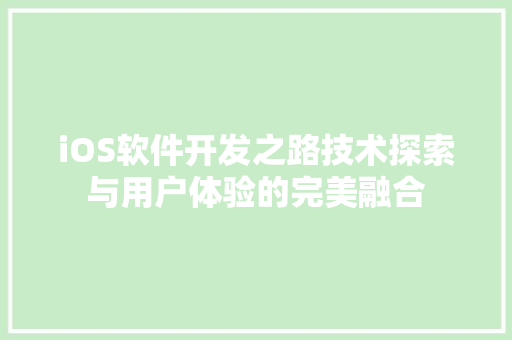 iOS软件开发之路技术探索与用户体验的完美融合