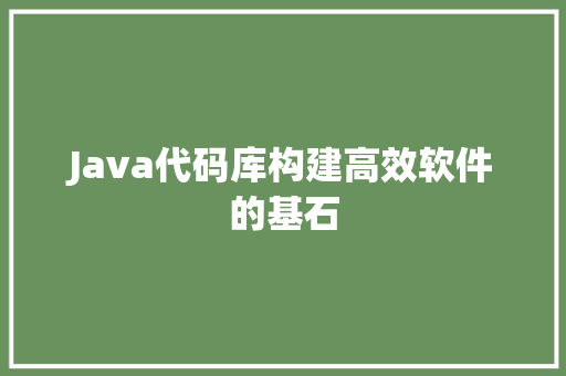 Java代码库构建高效软件的基石 编程语言