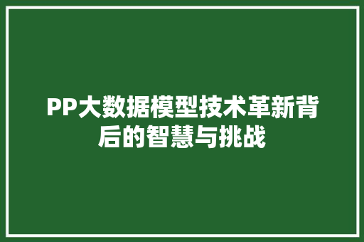 PP大数据模型技术革新背后的智慧与挑战