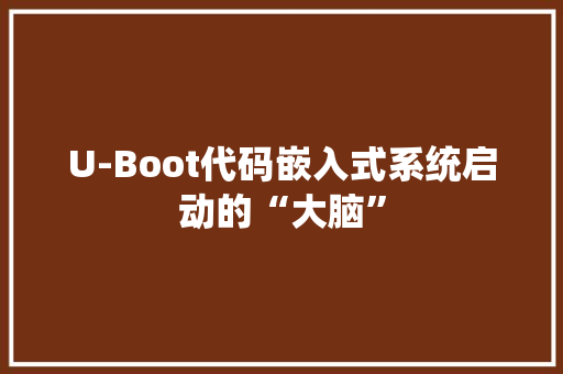 U-Boot代码嵌入式系统启动的“大脑”