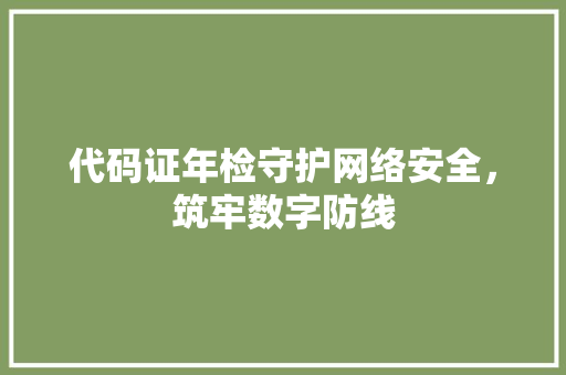 代码证年检守护网络安全,筑牢数字防线 代码证年检守护网络安全,筑牢数字防线