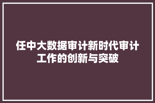 任中大数据审计新时代审计工作的创新与突破
