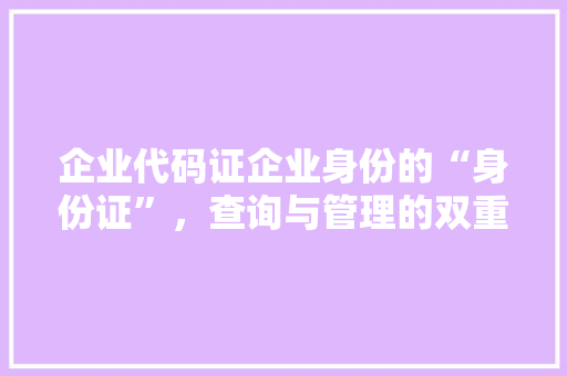企业代码证企业身份的“身份证”，查询与管理的双重保障