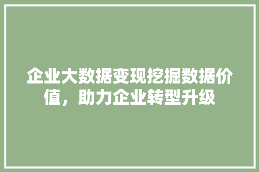 企业大数据变现挖掘数据价值，助力企业转型升级