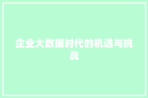 企业大数据时代的机遇与挑战