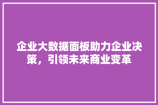 企业大数据面板助力企业决策，引领未来商业变革