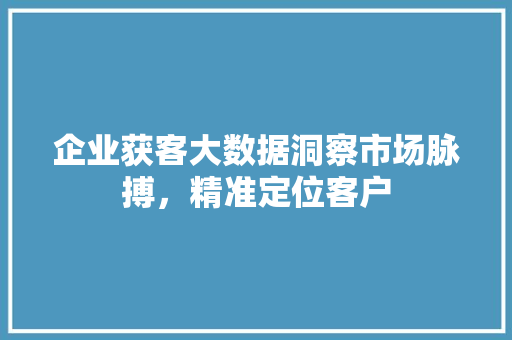 企业获客大数据洞察市场脉搏，精准定位客户