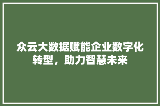 众云大数据赋能企业数字化转型，助力智慧未来