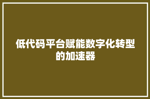 低代码平台赋能数字化转型的加速器