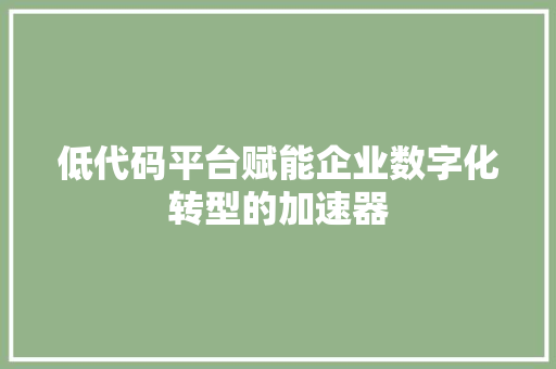 低代码平台赋能企业数字化转型的加速器