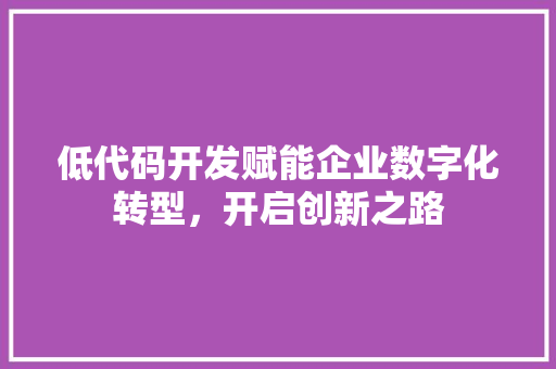 低代码开发赋能企业数字化转型，开启创新之路