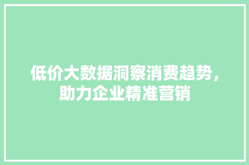 低价大数据洞察消费趋势，助力企业精准营销