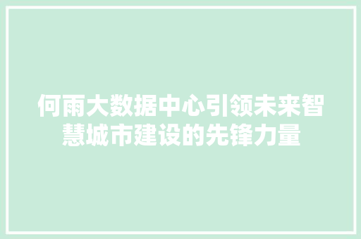 何雨大数据中心引领未来智慧城市建设的先锋力量