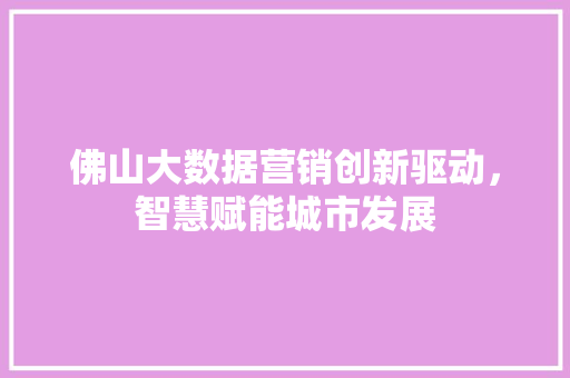佛山大数据营销创新驱动，智慧赋能城市发展
