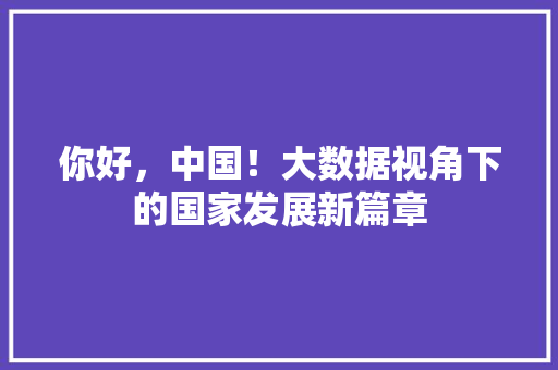 你好，中国！大数据视角下的国家发展新篇章