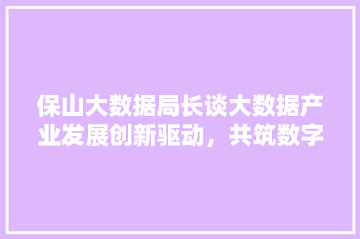 保山大数据局长谈大数据产业发展创新驱动，共筑数字未来